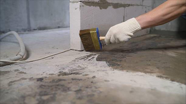 SJ Waterproofing Pros Waterproofing coverage map for Carson City, MI and surrounding area